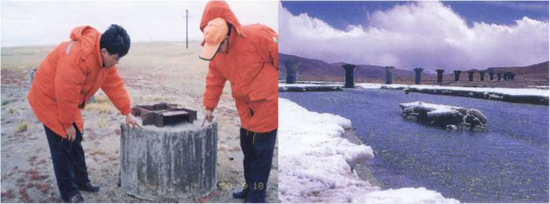 温早强耐久混凝土